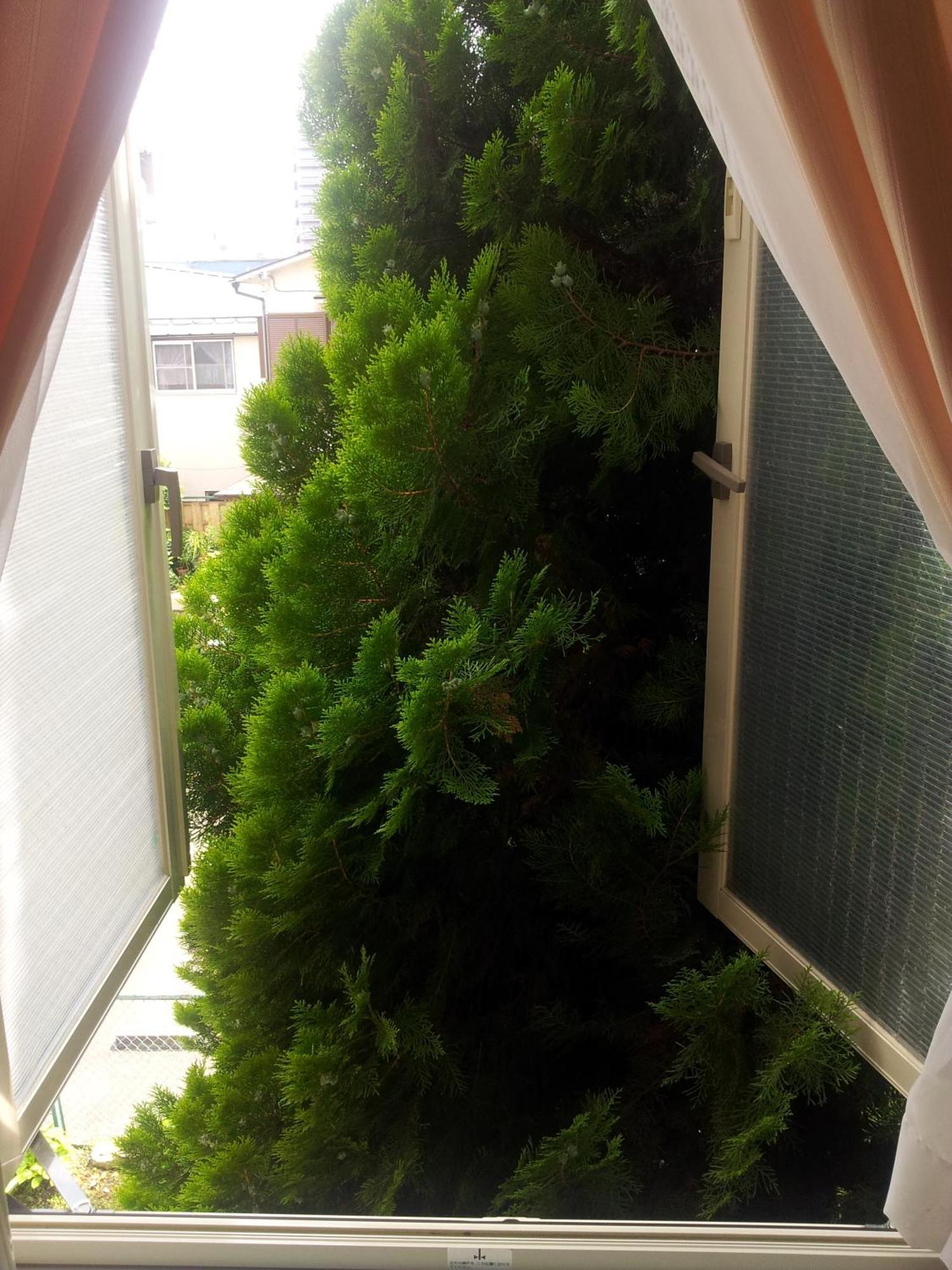 Tokyo8Home Hachioji Bilik gambar